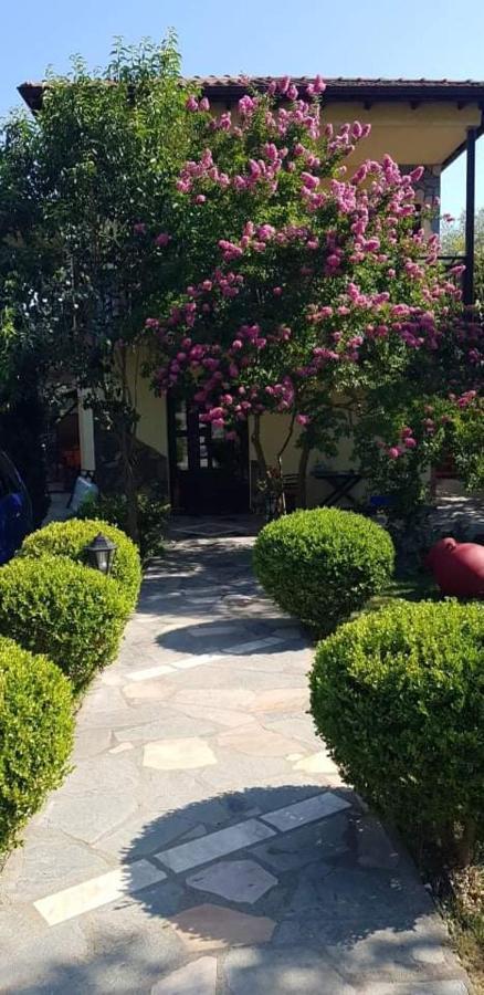 Hotel Maria Chrysi Ammoudia Exterior foto
